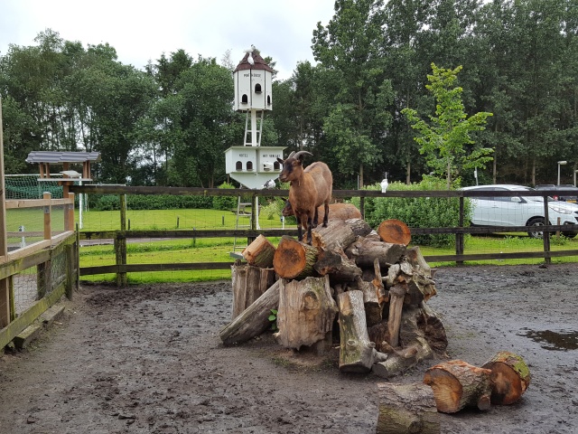 ../fotos/het_verlaat_2016/2016-07-01 11.01.21.jpg